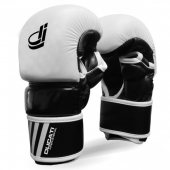 MMA Gloves